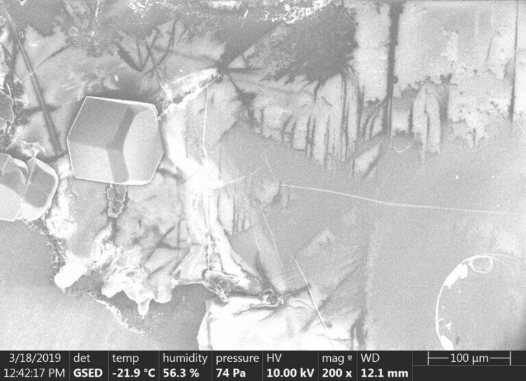 גבישי קרח במיקרוסקופ אלקטרונים סורק סביבתי (ESEM), באדיבות ד"ר אנה-עדן קוסוי-סימקוב, המחלקה לתשתיות למחקר כימי