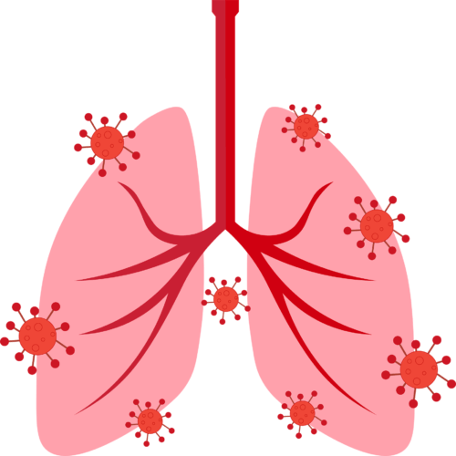فيروس كورونا يضر بالصحة. رسم توضيحي: صورة بواسطة Hatice EROL من Pixabay