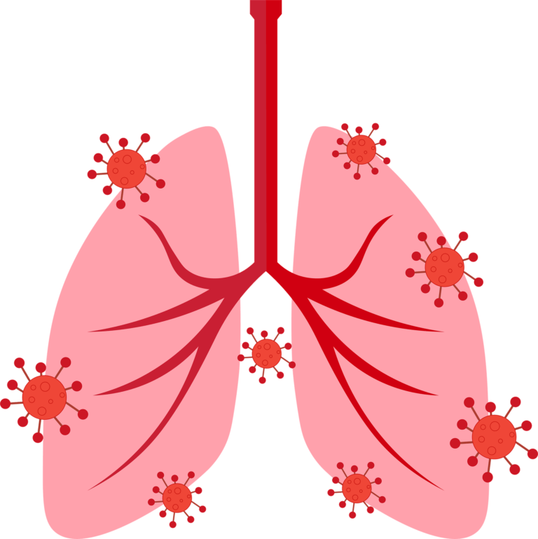فيروس كورونا يضر بالصحة. رسم توضيحي: صورة بواسطة Hatice EROL من Pixabay