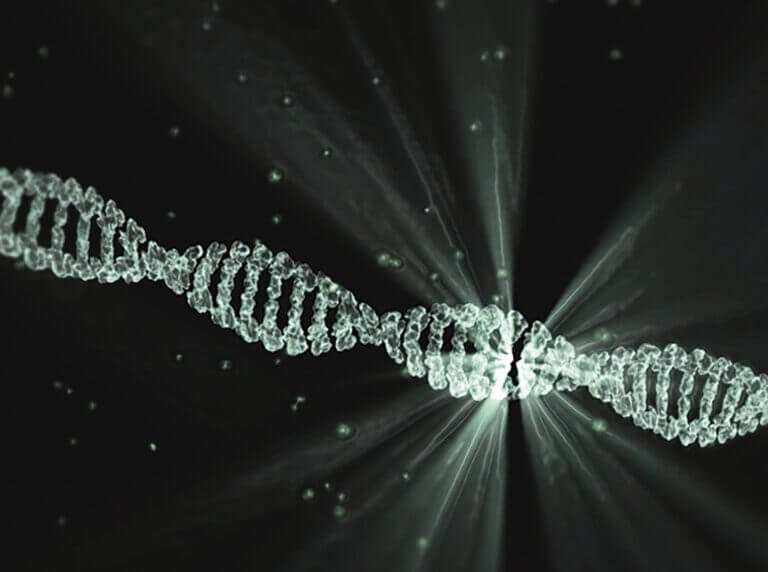 الحمض النووي DNA الرسم التوضيحي: الصورة بواسطة LaCasadeGoethe من Pixabay