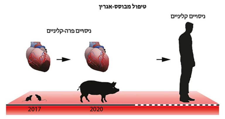 איור: באדיבות מכון ויצמן