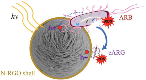 Graphene to destroy drug-resistant bacteria. From Scientific Research, Rice University