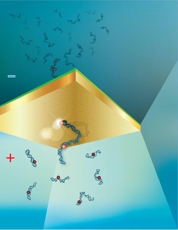 Illustration of DNA molecules passing one after the other through a nanopore