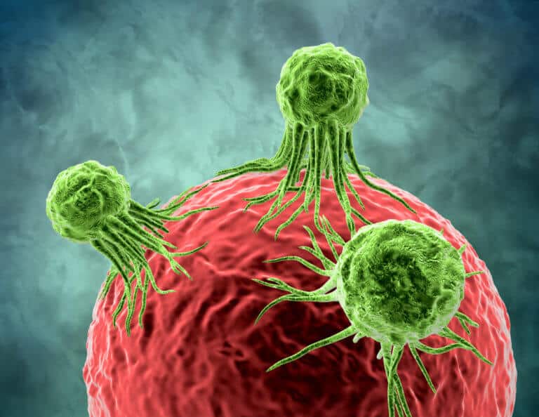 cancer cell Image: Shutterstock