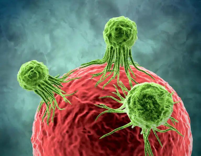 الخلايا السرطانية الصورة: شترستوك