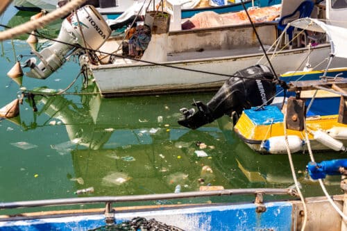 Dirty water in the port of Jaffa. shutterstock photography: