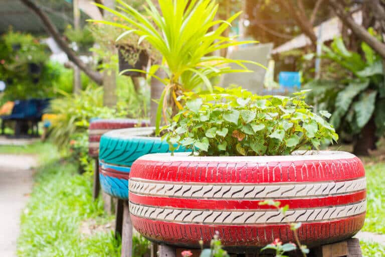 An organic farm that uses used tires to grow plants. Photo: shutterstock