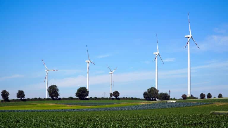 Wind turbine farms in Germany. Photo: Image by Matthias Böckel from Pixabay
