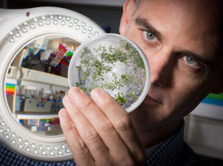 Dr. Ofir Hakim. Photo: Bar Ilan University Spokesperson