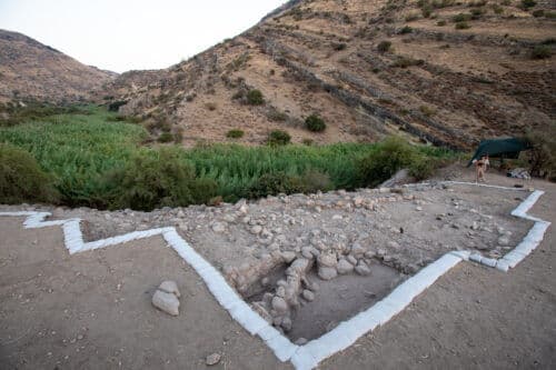 Excavations 2018 at the archaeological site Ein Gav 2 on the Sea of ​​Galilee, from the research of Prof. Lior Grossman. Photo: Naftali Hilgar