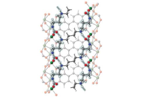 The atomic structure of a single hole in a metal-organic framework shows how carbon dioxide molecules (gray and red spheres) bind to tetraamines (blue and white spheres), forming a polymer of carbon dioxide molecules that bind to the inner framework. Low-temperature steam can push the molecules of the gas apart, allowing the material to be used over and over to capture more and more carbon from power plant emissions [Courtesy: Eugene Kim]