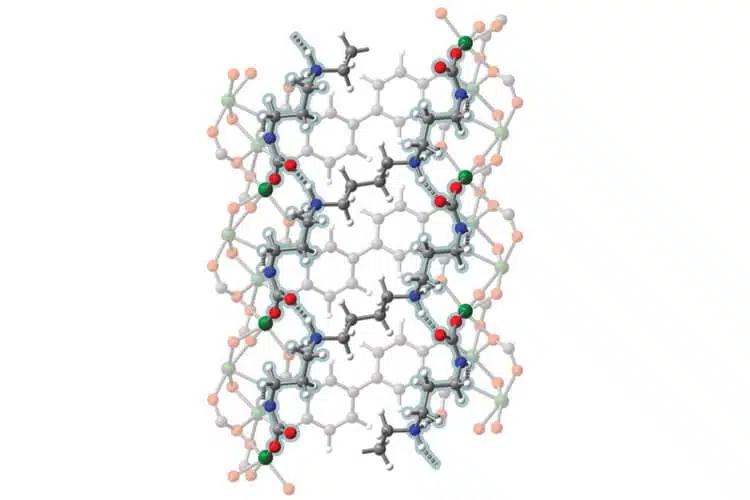 The atomic structure of a single hole in a metal-organic framework shows how carbon dioxide molecules (gray and red spheres) bind to tetraamines (blue and white spheres), forming a polymer of carbon dioxide molecules that bind to the inner framework. Low-temperature steam can push the molecules of the gas apart, allowing the material to be used over and over to capture more and more carbon from power plant emissions [Courtesy: Eugene Kim]