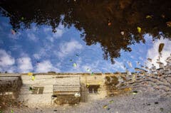 בניין מוצף בדרום תל אביב, 5 בינואר 2020. צילום: shutterstock