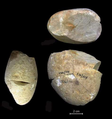 الصورة 1 القطعة التي عمرها 350 ألف سنة من مغارة التابون. صورة للناطقة باسم جامعة حيفا