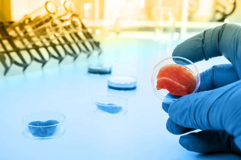 Lab cultured meat. Illustration: depositphotos.com