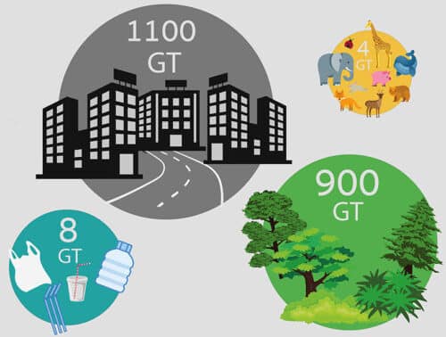 The mass of buildings and infrastructure has already overtaken that of all trees and shrubs, while the mass of plastic products is currently twice as large as the mass of all animals