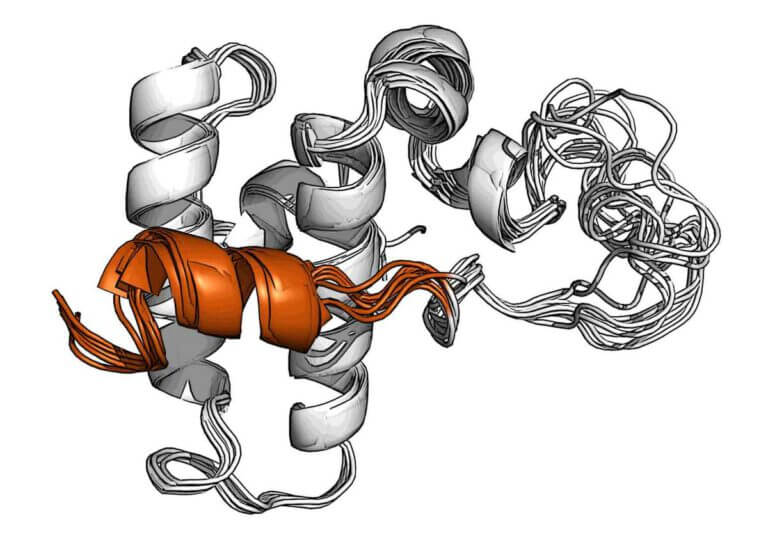 A helical lock (orange) on the DnaJB1 chaperone blocks the binding site for chaperones from the Hsp70 family