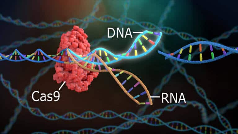 CRISPR CAS-9 - מספריים גנטיות. איור: Shutterstock