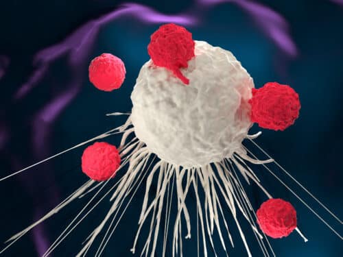 תאי T של מערכת החיסון תוקפים תא סרטני. המחשה: shutterstock