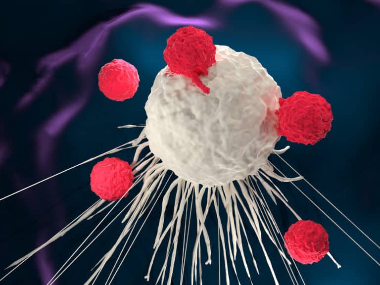 T cells of the immune system attack a cancer cell. Illustration: shutterstock