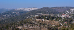 איזור שכונת עין כרם בהרי ירושלים. צילום: depositphotos.com