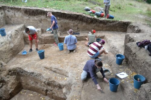 General picture of the excavation. Dr. Malinsky-Buller. Courtesy of the Hebrew University