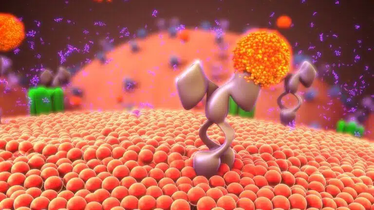 Cell membrane receptors. Photo: depositphotos.com