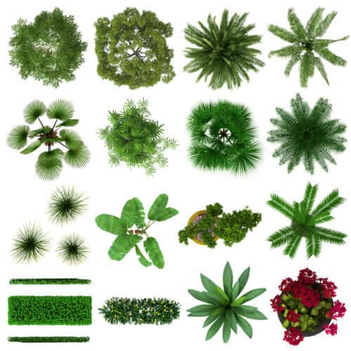 צמחים. מגיעים בשלל צורות. <a href="https://depositphotos.com. ">צילום: depositphotos.com</a>