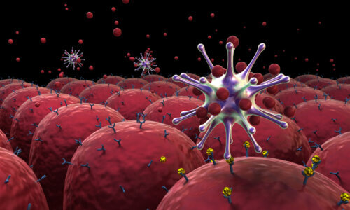 Corona virus attacks the lung cells. Image: depositphotos.com