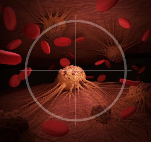 חיסול ממוקד של תא סרטני.  <a href="https://depositphotos.com. ">צילום: depositphotos.com</a>