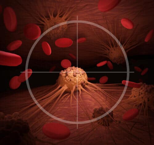 Targeted elimination of a cancer cell. Photo: depositphotos.com