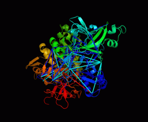 The structure of one of the proteins of a corona virus. Photo courtesy of Dr. Dina Schneidman