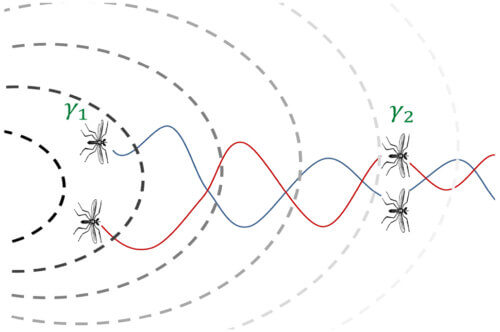 Hexes flying from the center of the swarm to its edges may form pairs when the buzz they pick up from each other becomes louder than the background noise of the swarm around them