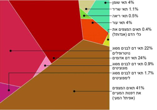 The distribution map of cell turnover in the body, by mass