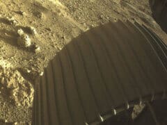 תמונה ברזולוציה גבוהה זו מציגה את אחד מששת הגלגלים של רובר המאדים פרזרבירנס (התמדה) של נאס"א, שנחת ב- 18 בפברואר 2021. התמונה צולמה על ידי אחת ממצלמות איתור הסיכונים הצבעוניות של התמדה (Hazcams).