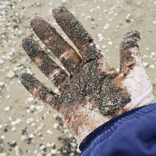 تنظيف بقع القطران على شواطئ البحر الأبيض المتوسط. الصورة: جمعية مدن شارون الكرمل