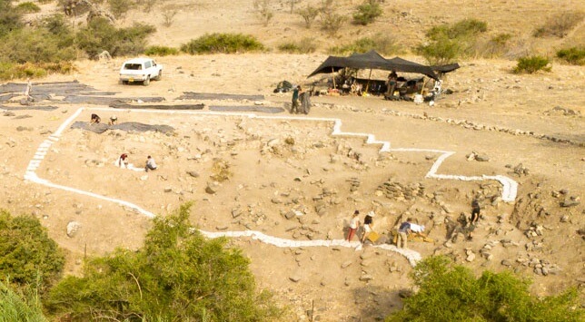 موقع حفريات عين جيف 2. تصوير: ليئور غروسمان.