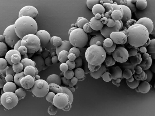 מיקרו כדוריות מתכלות המופקות באמצעות ייבוש בהתזה. הן מכילות נוגדל של נגיף שפעת וחומר חיסוני. התמונה הושגה במיקרוסקופ אלקטרונים, שהוגדלה 3,000 פעמים. דניס הורבת, אוניברסיטת קונסטנץ