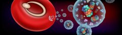 הדמיה של טפיל מלריה דמוי טבעת אשר חי בתוך תא דם אדום ומפריש בועיות הנושאות את הפרוטאזום S20 (מבנים צבעוניים דמויי חבית)
