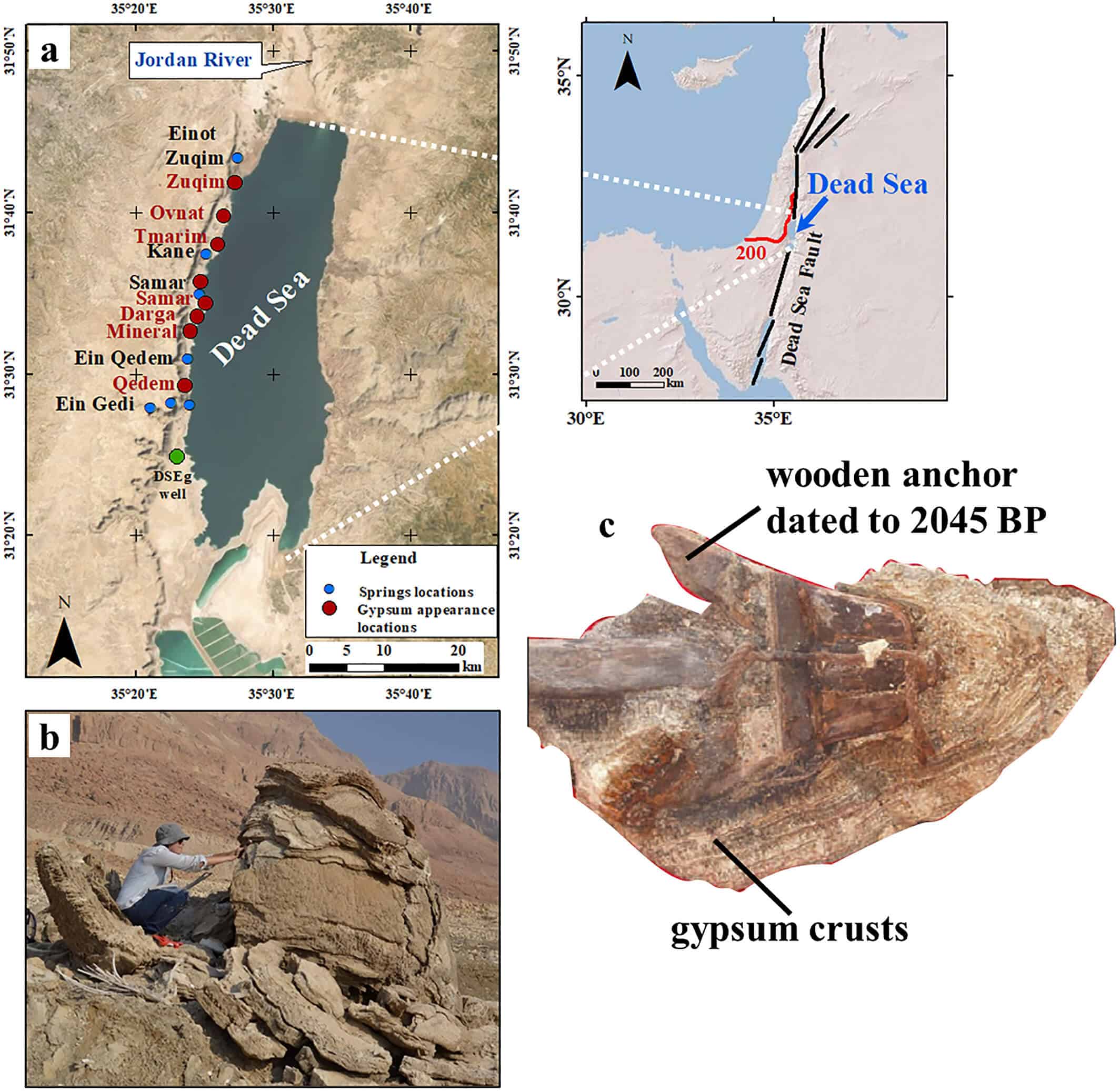 Gypsum deposits in the Dead Sea. The Hebrew University