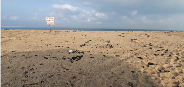 פסולת זפת בחופי אשדוד בעקבות דליפת הנפט, 18 במרץ 2021. צילום דרור צוראל, המשרד להגנת הסביבה