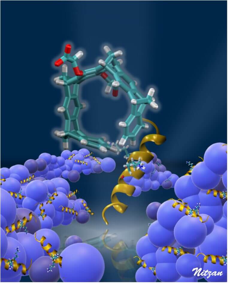 صورة للملاقط من الدراسة. بإذن من جامعة بن غوريون