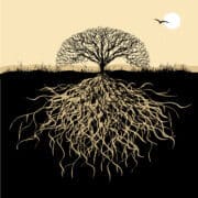 שורשים. איור: depositphotos.com