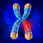 CRISPR ככלי לתיקון גנים פגומים. צילום: depositphotos.com