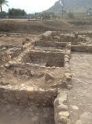 שרידי חנויות ובהן בריכות דגים שנחשפו במגדל (מתוך ויקיפדיה)