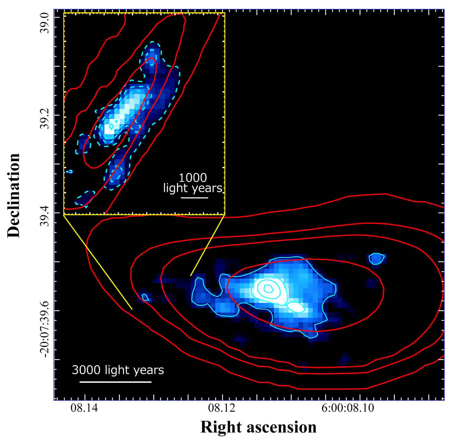 A reconstructed image of the distant galaxy. by compensating the gravitational lensing effect caused by the galaxy cluster. The red contours show the distribution of radio waves emitted by carbon ions captured by ALMA, and the blue contours show the spread of light captured by the Hubble Space Telescope. The critical line, where the light intensity of Rom gravitational lensing is at its peak, runs along the left side of the galaxy, so this part of the galaxy has been magnified even more (input image). Credit: ALMA (ESO/NAOJ/NRAO), Fujimoto et al., NASA/ESA Hubble Space Telescope.