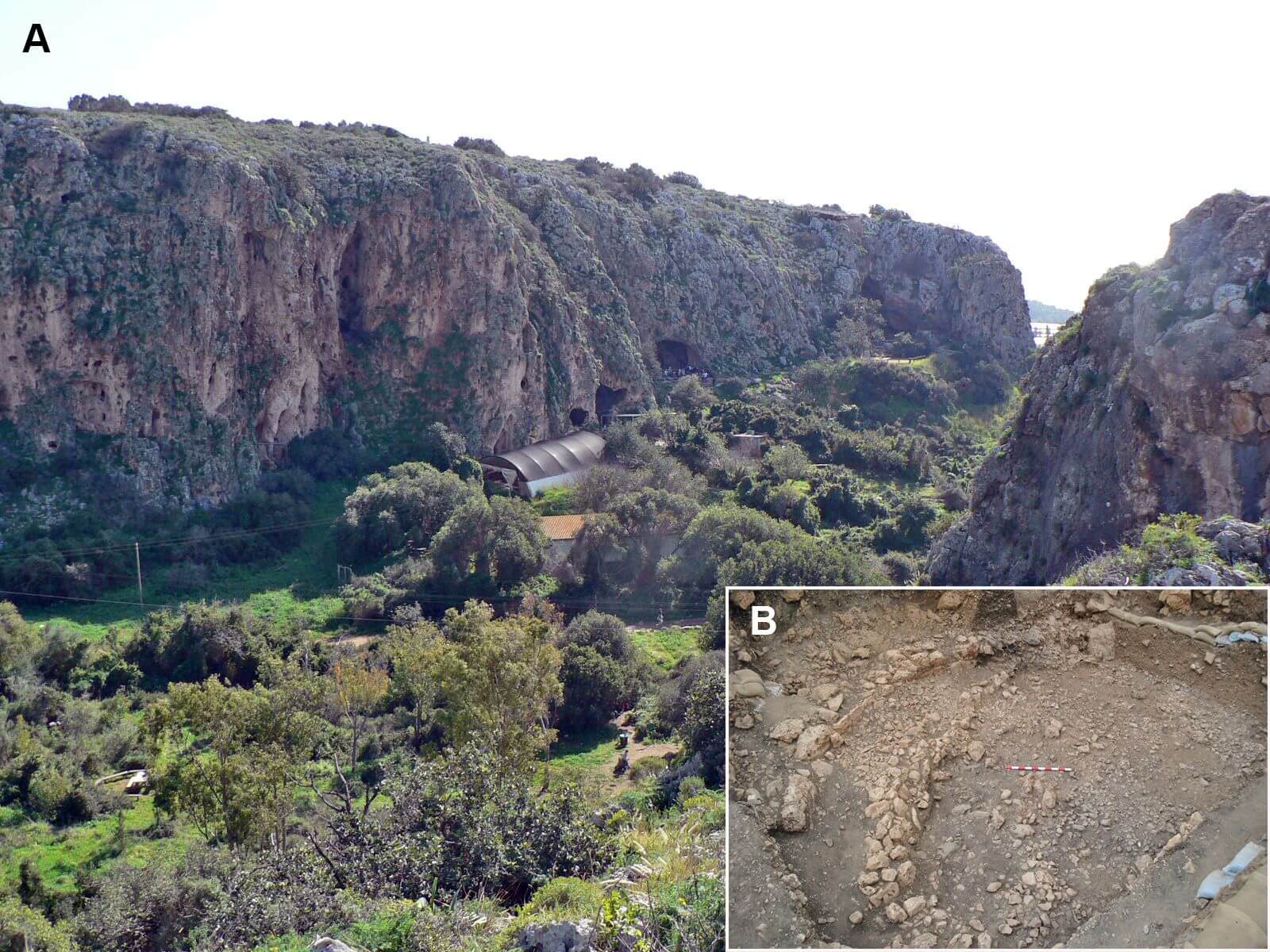 The excavation site in Carmel. Photo: Haifa University