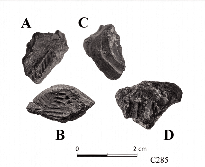 Clay lumps discovered in Tel Tsef. Photography - Tal Rogovski