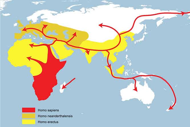  איור של מסלולי הנדידה של ההומו ספיאנס מאפריקה לשאר קצוות תבל. מקור: Wikimedia Commons