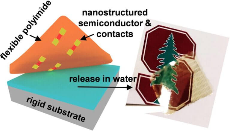 Description of the transfer process for a two-dimensional semiconductor together with nanoprinted contacts (left) and a photo of a transparent, flexible substrate with the structure transferred to it (right) [Courtesy: Victoria Chen/Alwin Daus/Pop Lab]